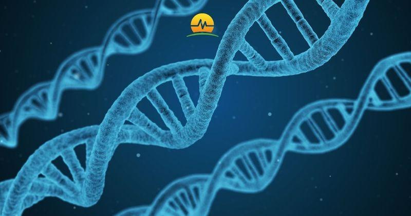 Should I Get Genetic Testing for Colon Cancer?
