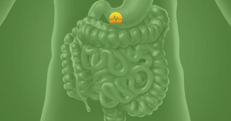 Green colorized image of healthy digestive system. Humira for Chron's disease? MASJax logo in bottom corner. 