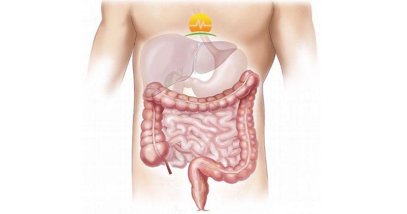 Five Tips to Improving your Colon Health and Reducing the Risk of Colon Cancer